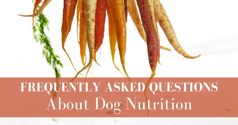 FAQs about Dog Nutritition