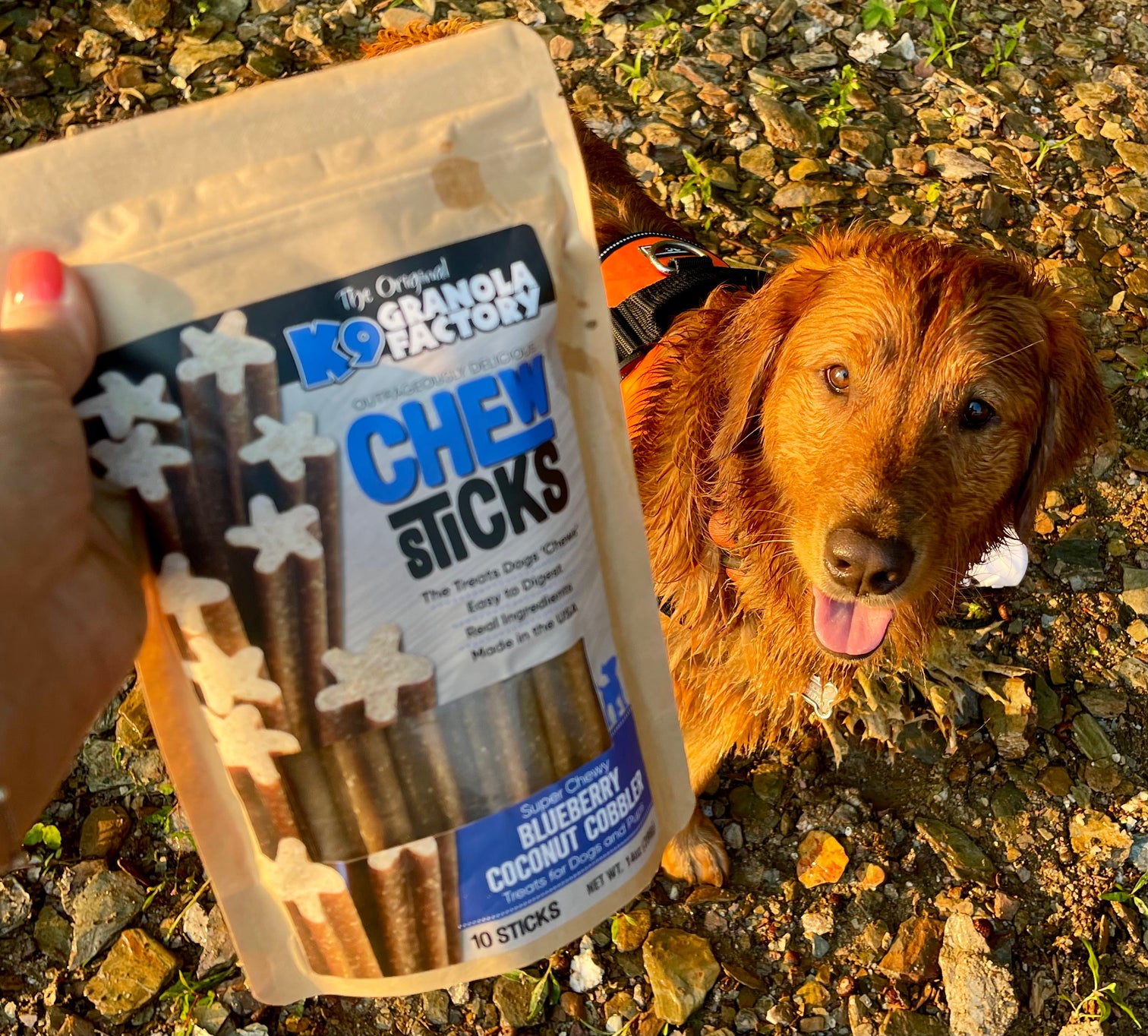 Banana Chips For Dogs Sweet Potato Chips For Dog Treats At Tracy