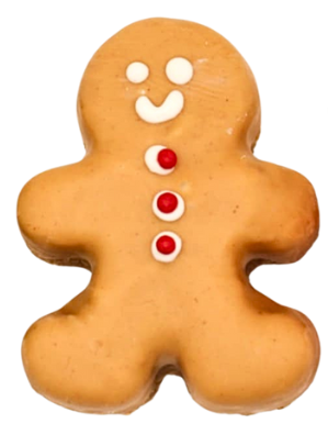 Seasonal Winter Dog Treat, Christmas Cheer 3 pk