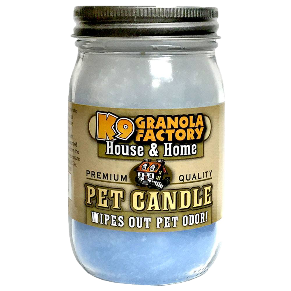 Pet odor top candles near me