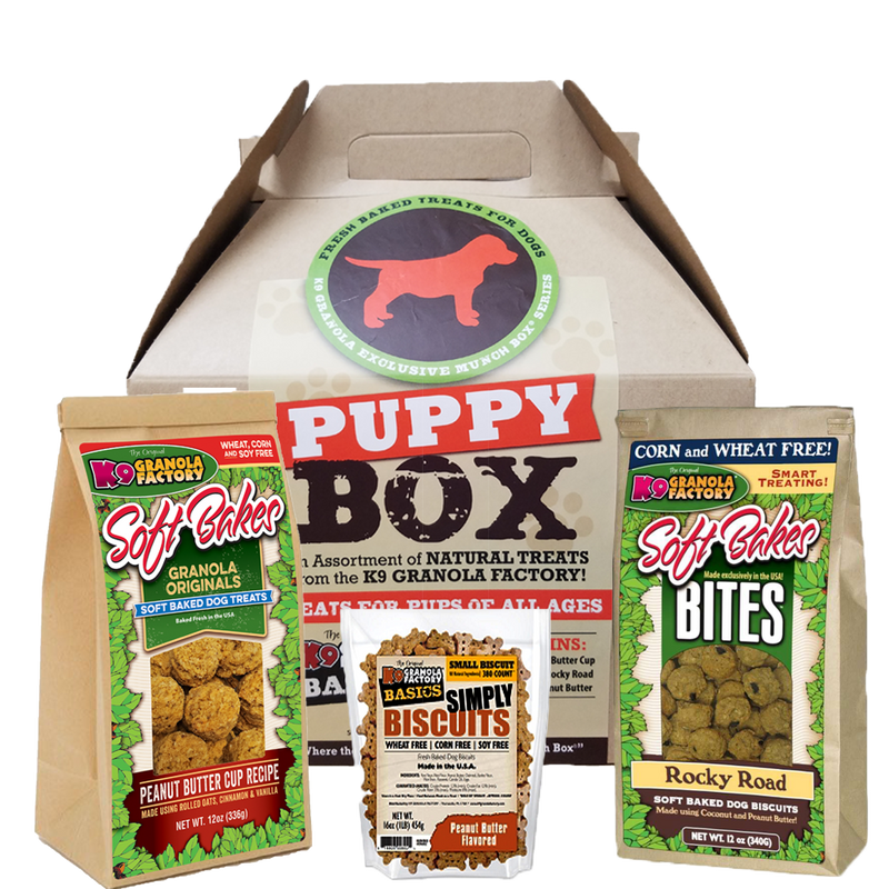 Munch Box, Puppy Box for Dogs